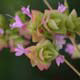 Detail-Infos